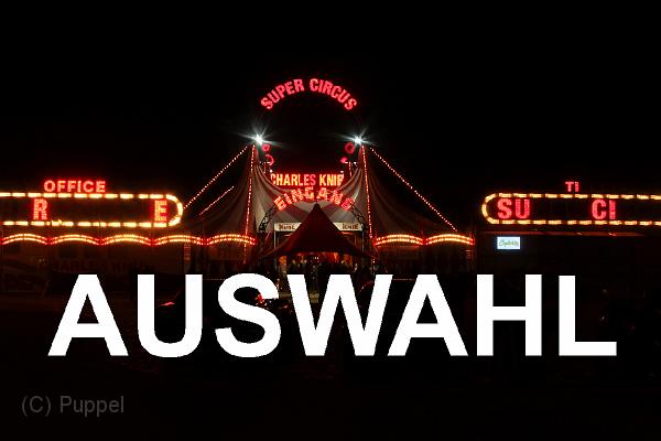 A AUSWAHL.jpg
